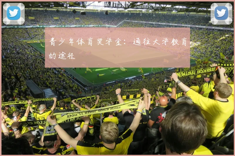 青少年体育奖学金：通往大学教育的途径